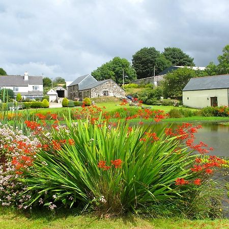 Callington Polhilsa Farm B&B 외부 사진
