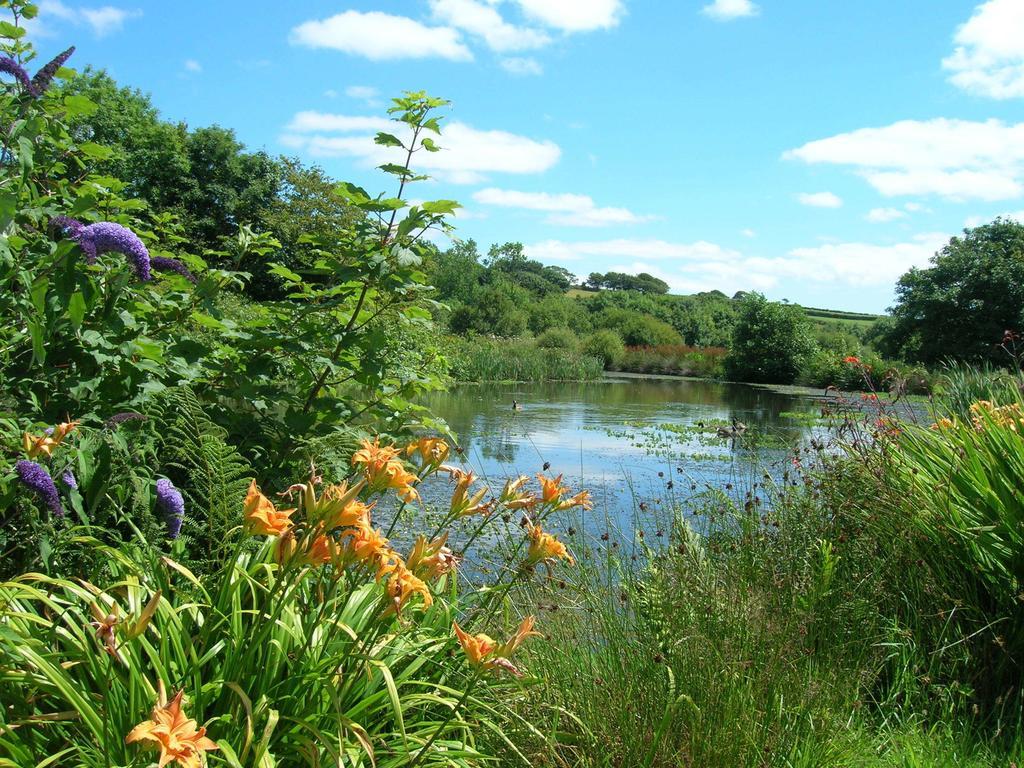 Callington Polhilsa Farm B&B 객실 사진