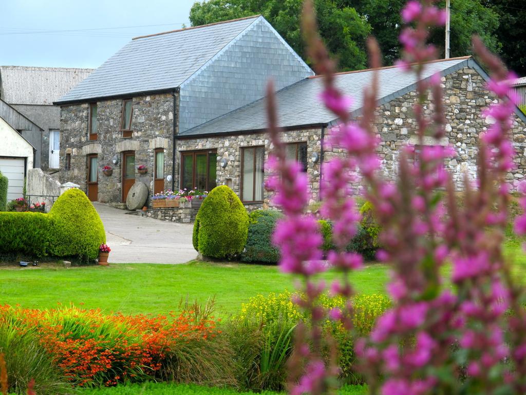 Callington Polhilsa Farm B&B 외부 사진