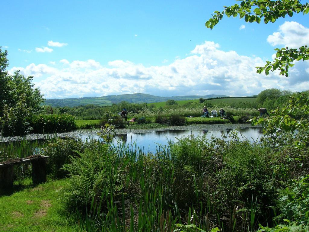 Callington Polhilsa Farm B&B 외부 사진