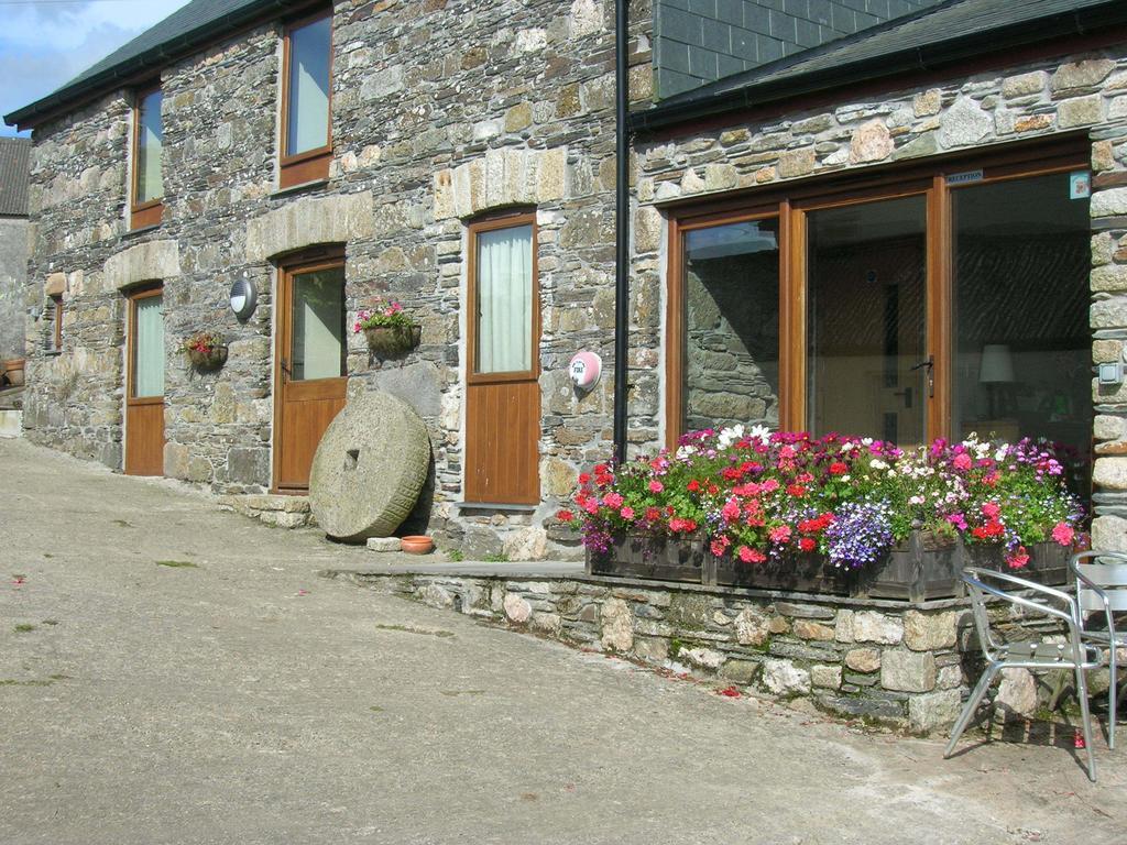 Callington Polhilsa Farm B&B 객실 사진